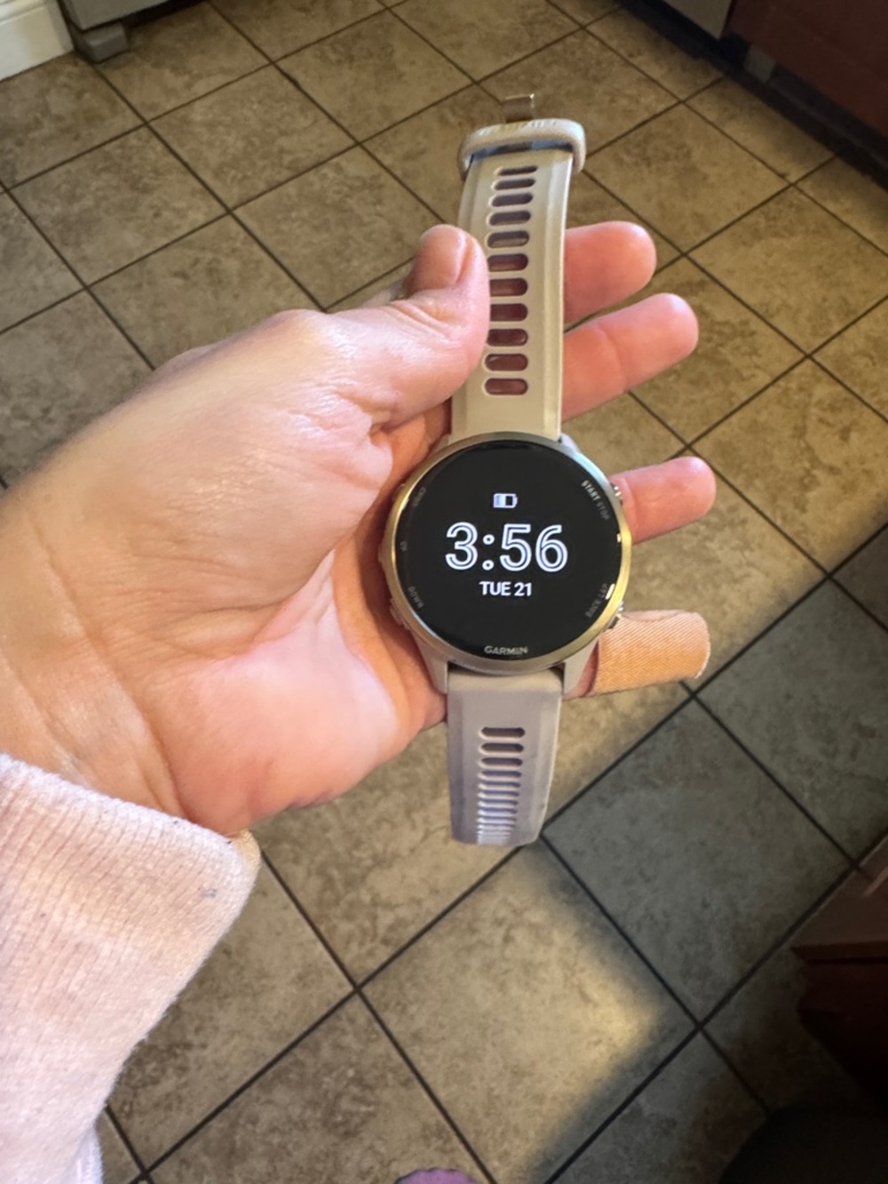 Garmin Forerunner 970 Soft Gold Titanium French Gray Case